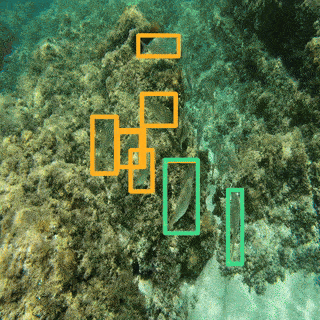 Case Study Image